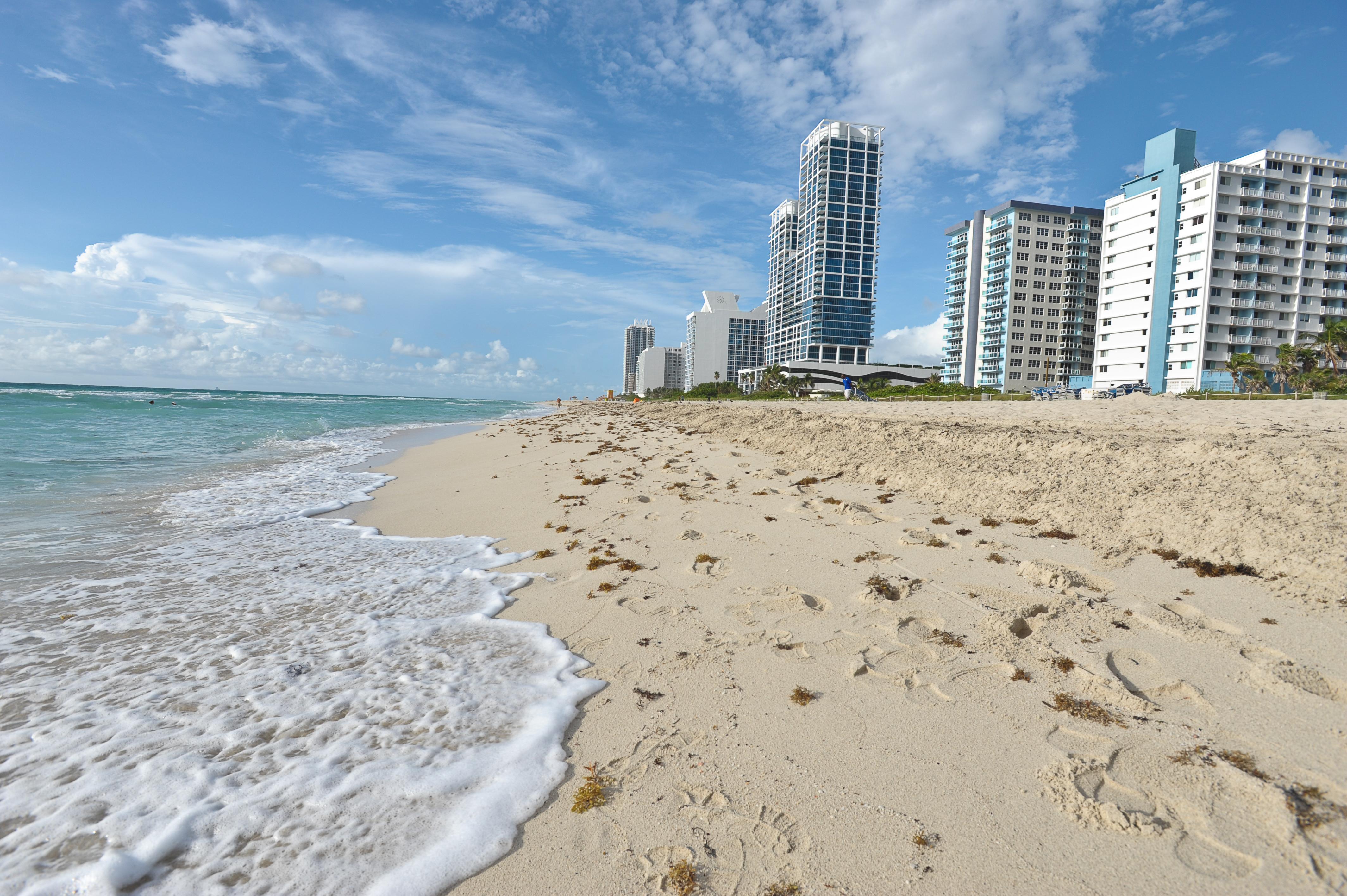 Crystal Beach Suites Miami Oceanfront Hotel Miami Beach Natură foto